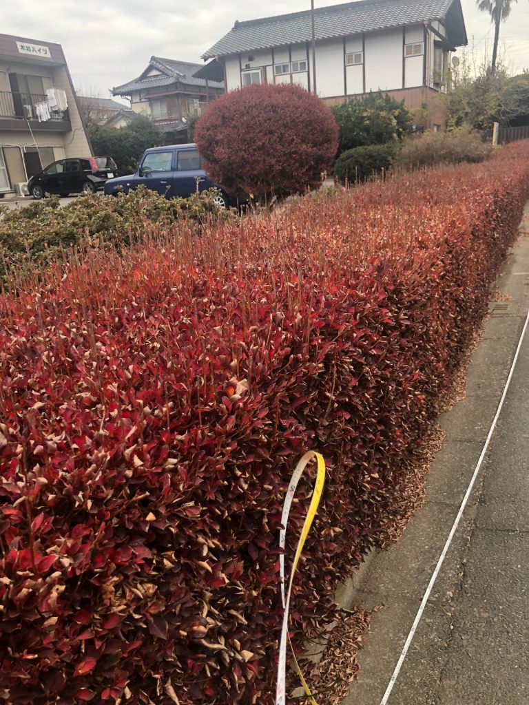 空いてる土地を有効利用で駐車場を